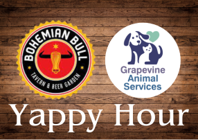 Graphic showing event name 