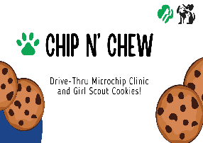 Girl Scout x Microchip Clinic Flyer (1920 x 1080 px)