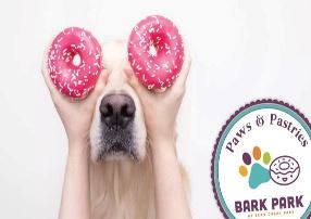Dog with pink donuts covering eyes